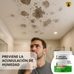 Pintura Antihumedad Spsil - Image 2