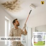 Pintura Antimoho Spsil – Image 2