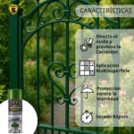 Spray Antioxido Forja SPSIL - Image 3